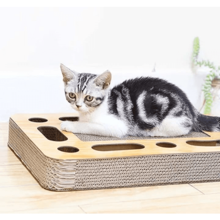 Squre Cardboard Scratch With Balls Catnip