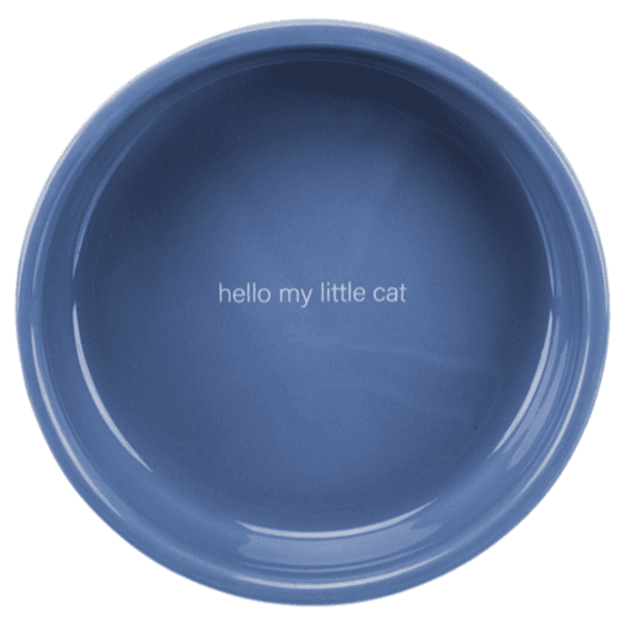 Hello My Little Cat Bowl Flat Ceramic Sky Blue