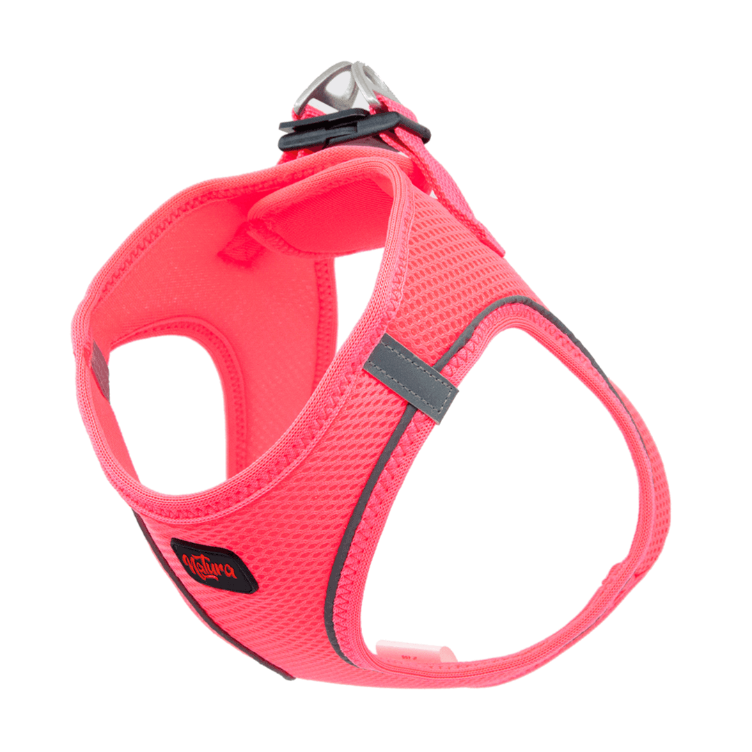 Airnet Harness M