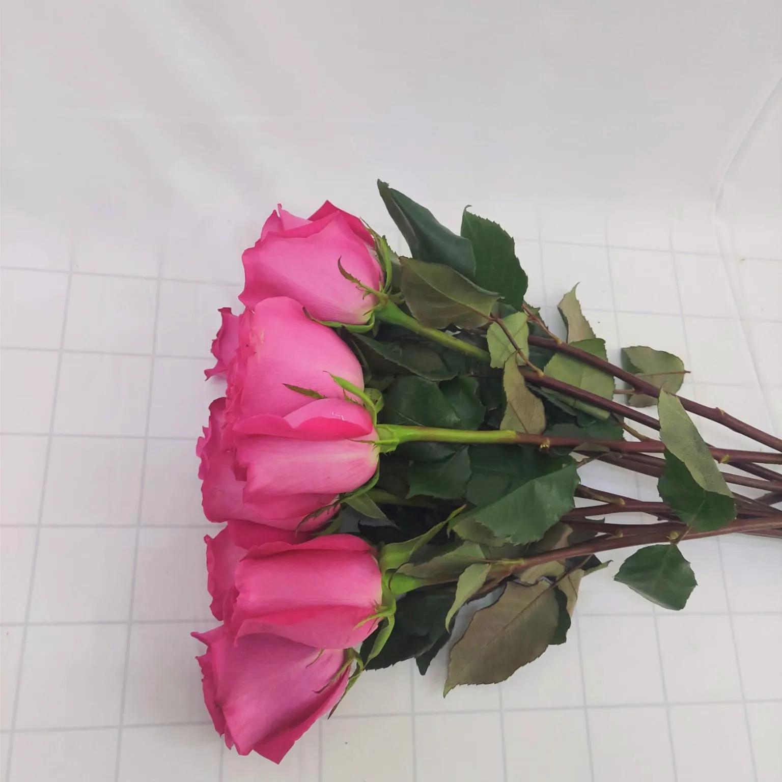 1x Pink Rose