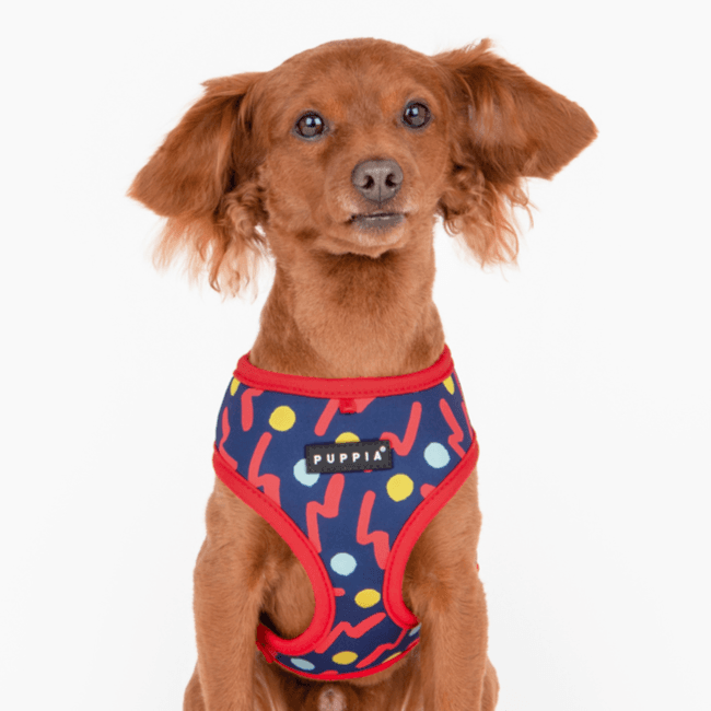 Puppia Pawa Dog Harness With QR Code Large