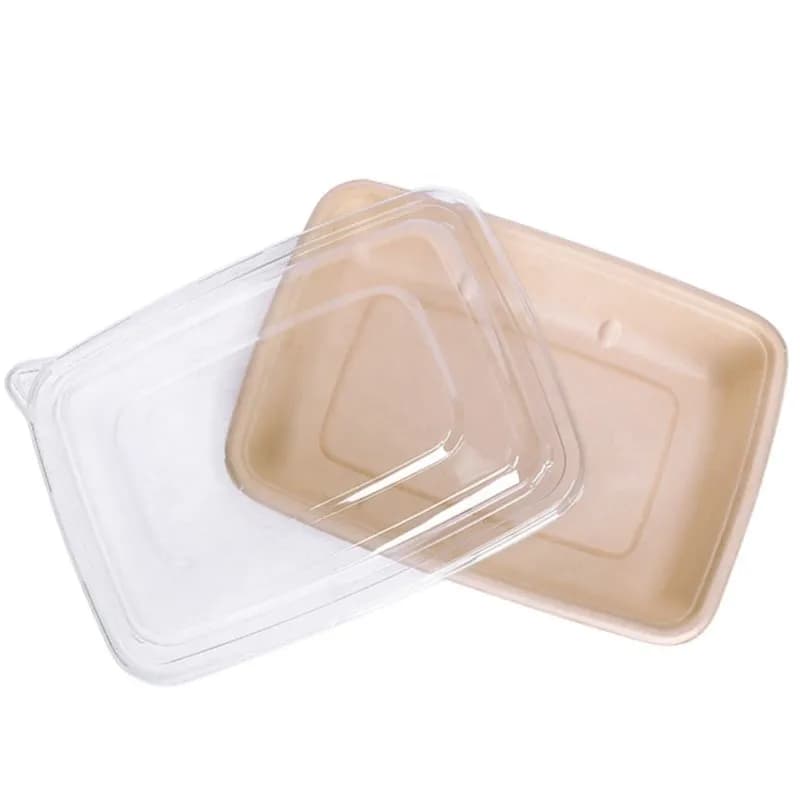 Bagasse Pulp Rectangle Container 30 Ounce White Pet Lid (10 Pieces Packet)