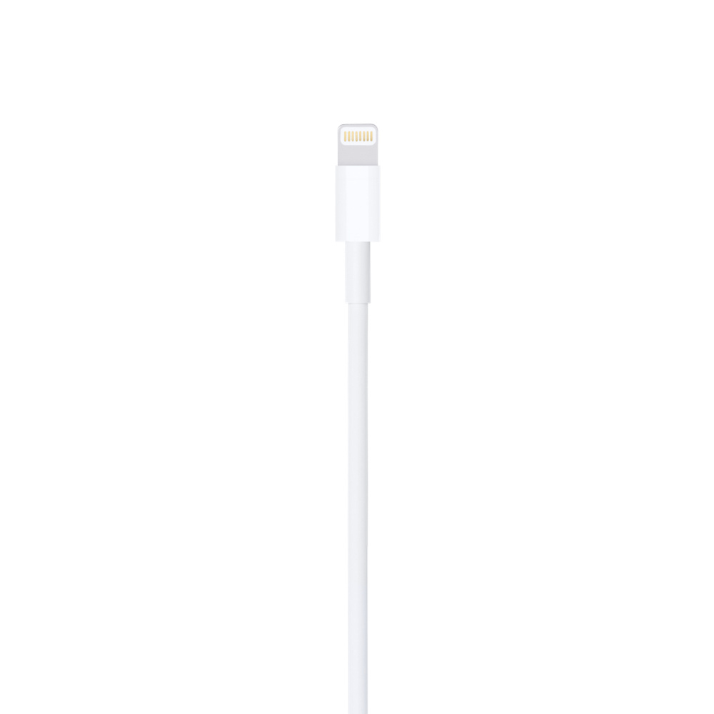 Apple Lightning To USB Cable - 1m