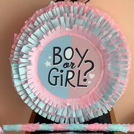 Gender Reveal Pinata