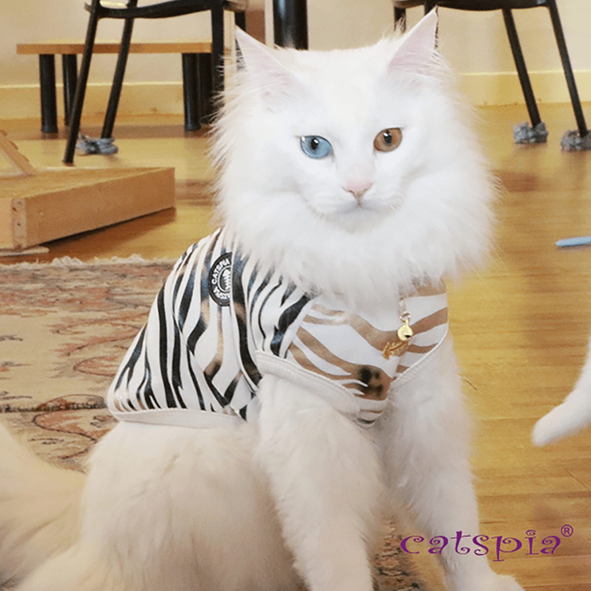 Catspia Calico Dog & Cat Fleece Vest-off White Zebra Large