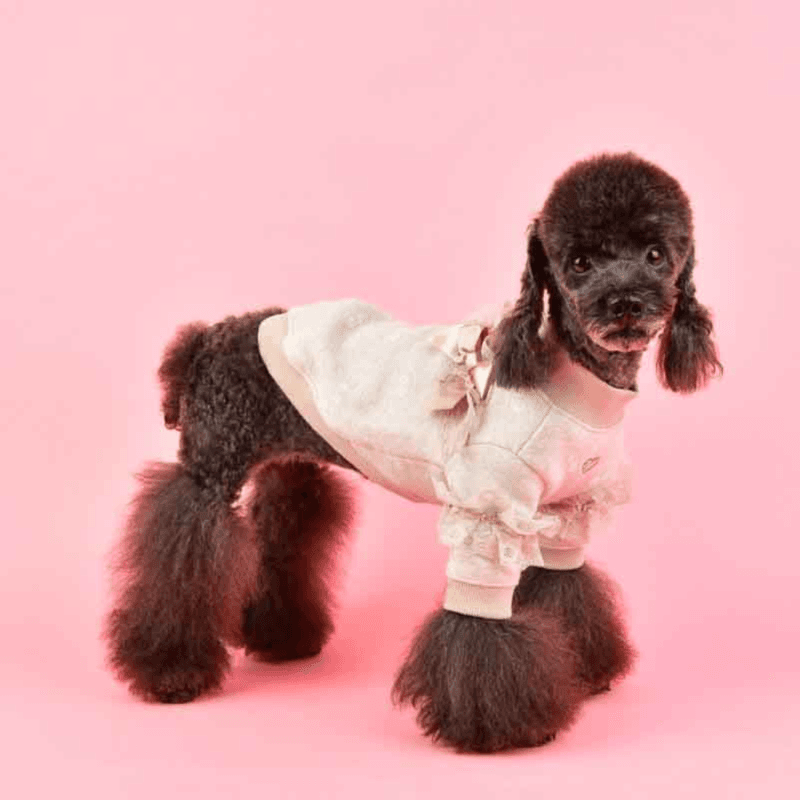 Pinkaholic Adele  Dog Tip Cardigan Shirt - Oatmeal Large