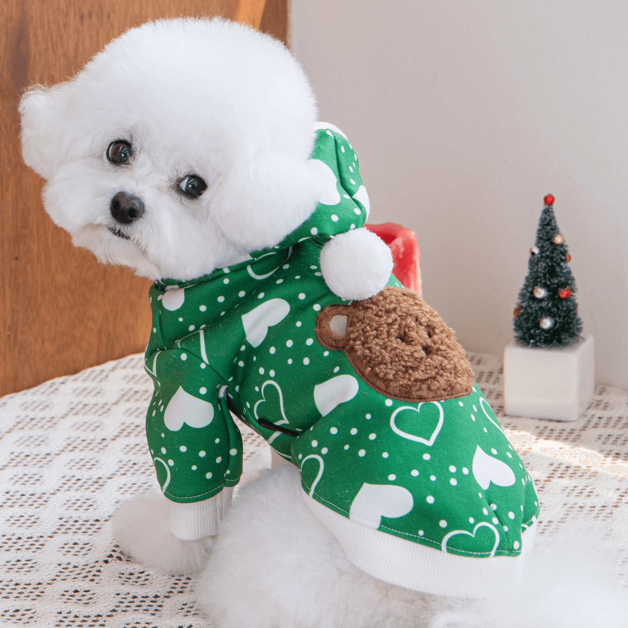 Puppia Fuzzy Bear Pet Hoodie / Green / XL