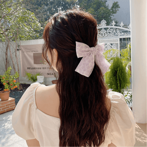 Spring Clips (2Pcs)