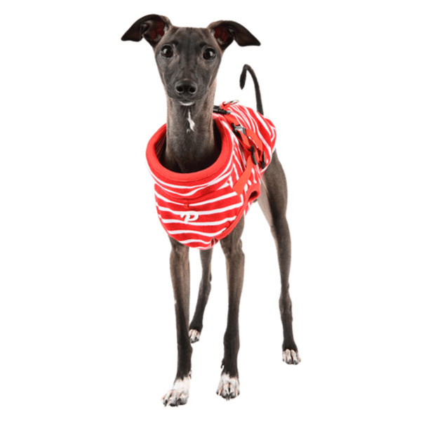 Puppia Clancy Zipper Suit - Red Medium