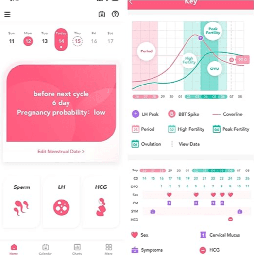 Artron One Step Early Detection Pregnancy Test - 1 Test