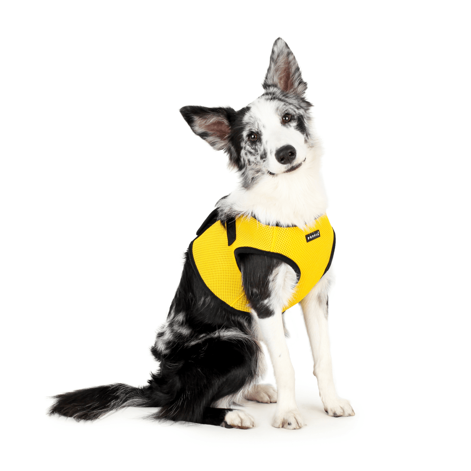 Paha Ah Dog Harness Yellow L