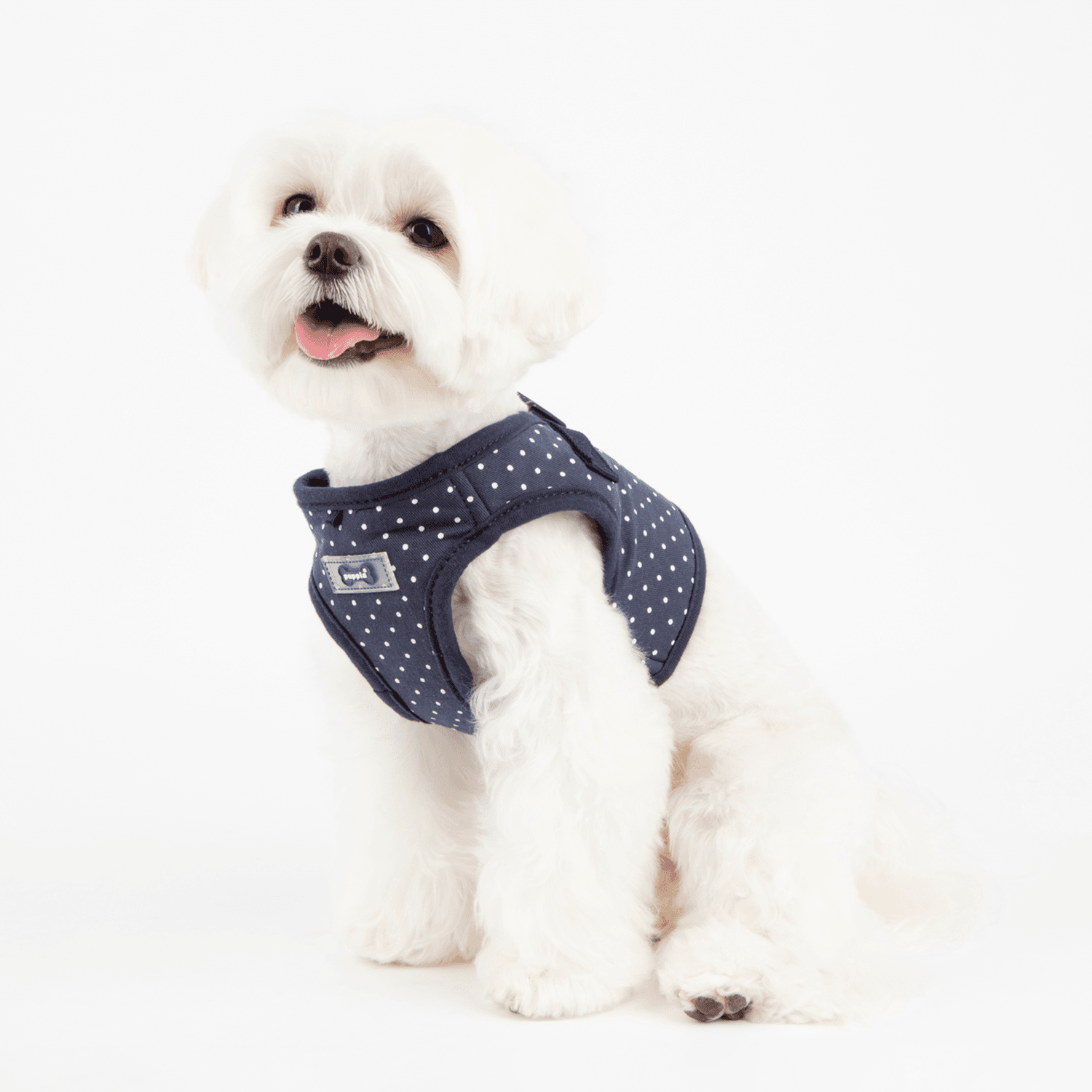 Puppia Para Dotted Blue Dog Harness XSmall