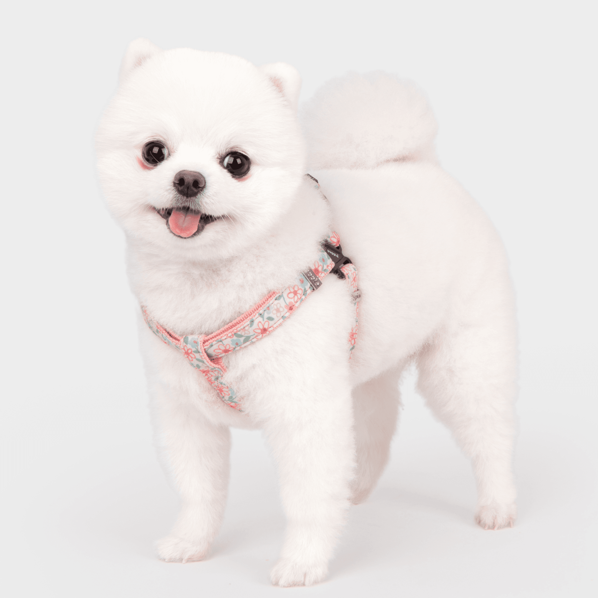 Puppia Lilac Harness X Plus harness  Biege or Indian Pink  - Medium