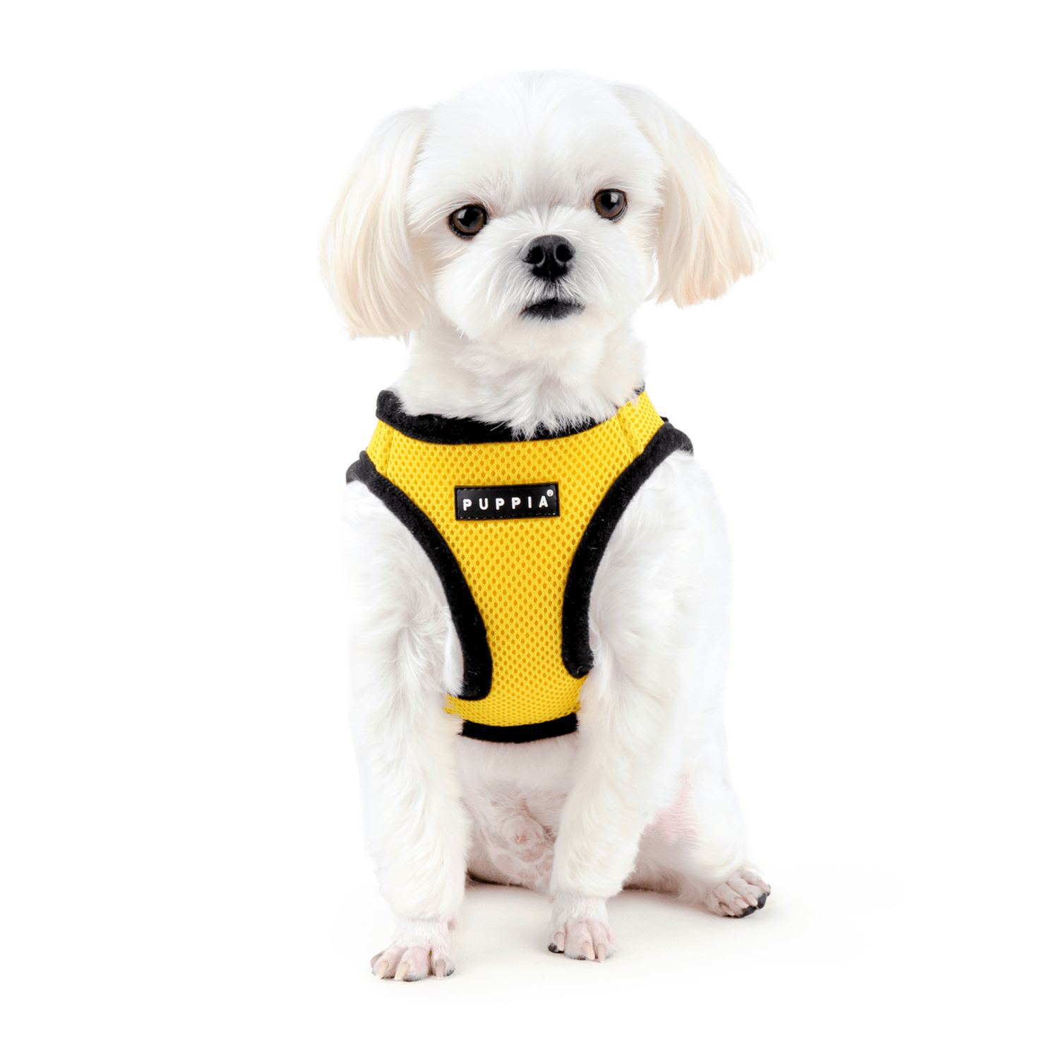 Paha Ah Dog Harness Yellow L