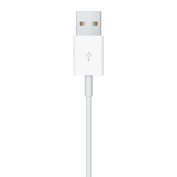 Apple Usb Magnetic Charging Cable Iwatch - 1M