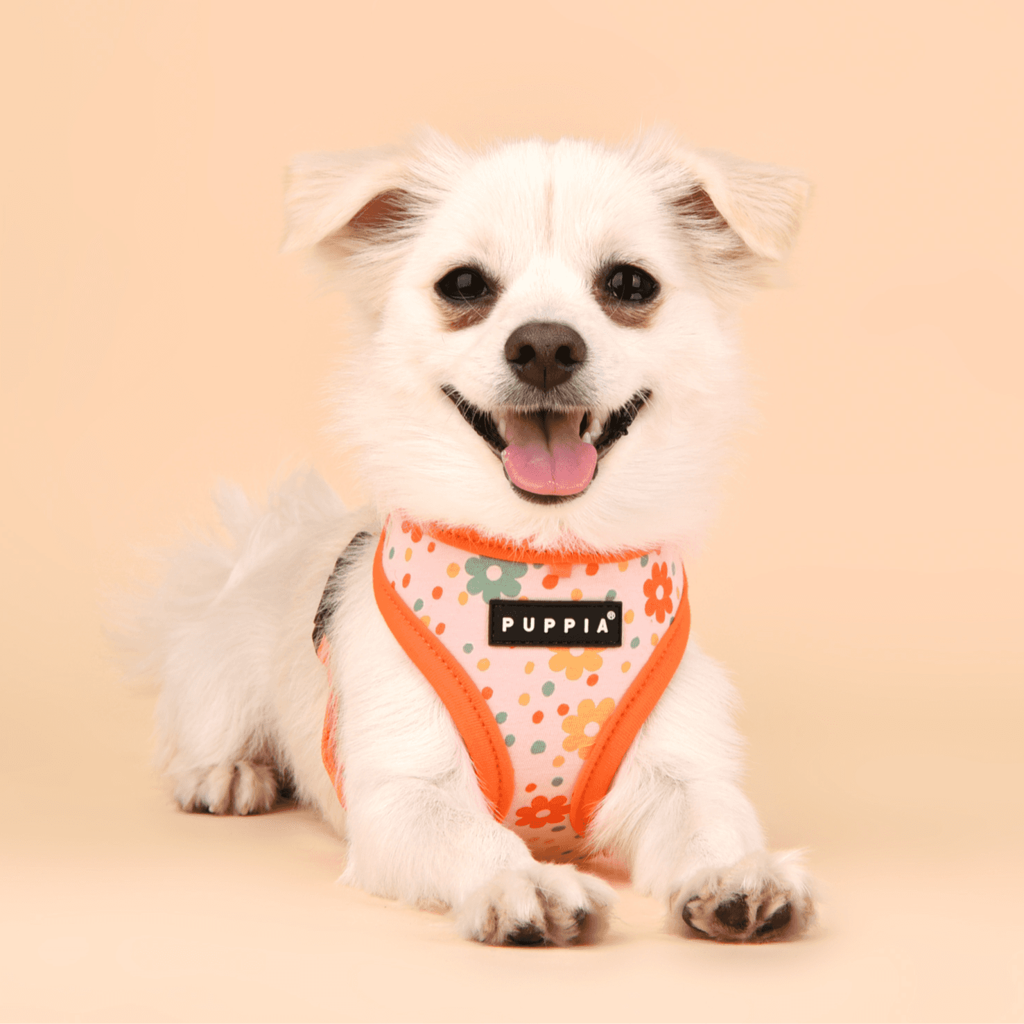 Puppia Dog Harness Orange Size Large