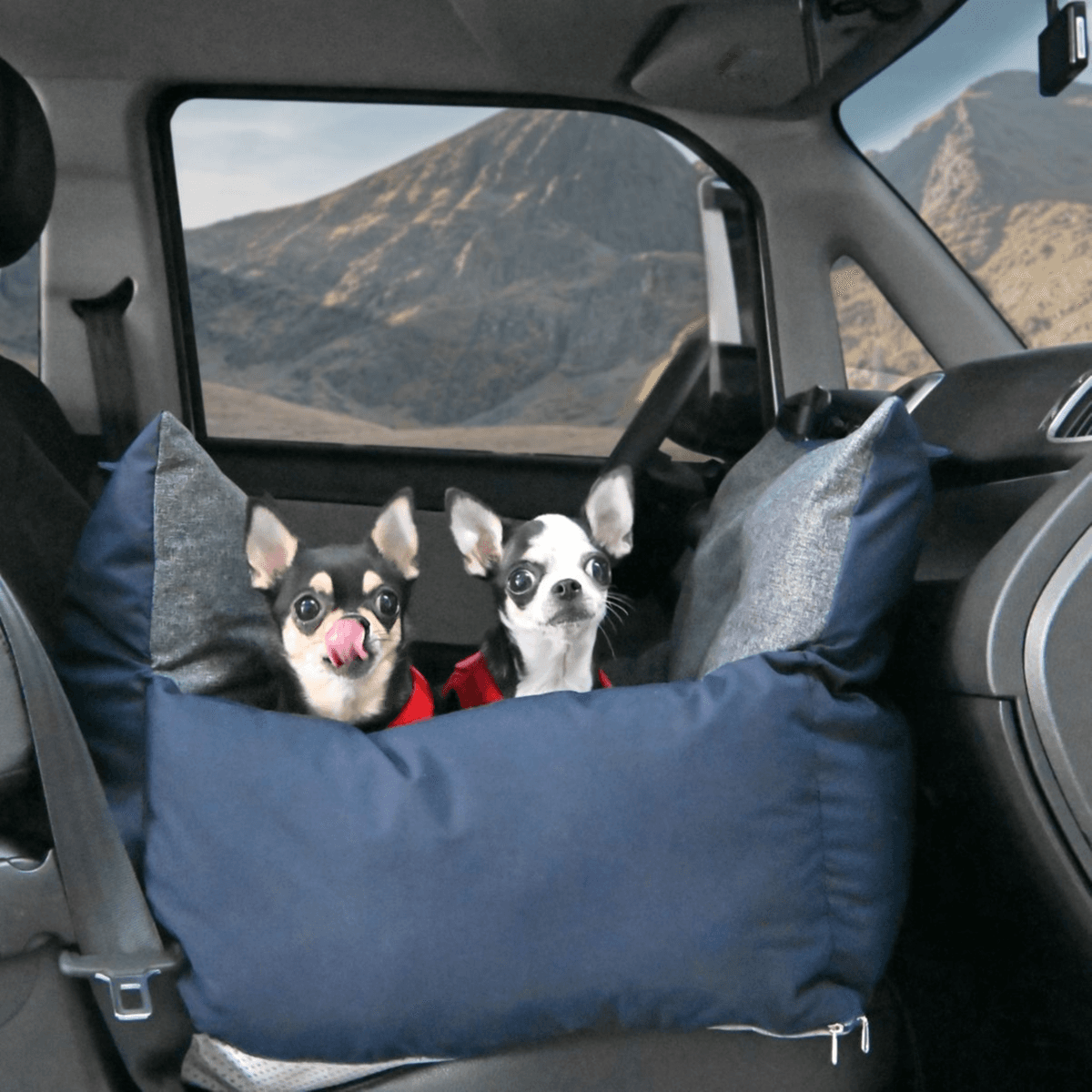 Puppia Car Seat for pets - Navy (53 x 52 x 43 cm)