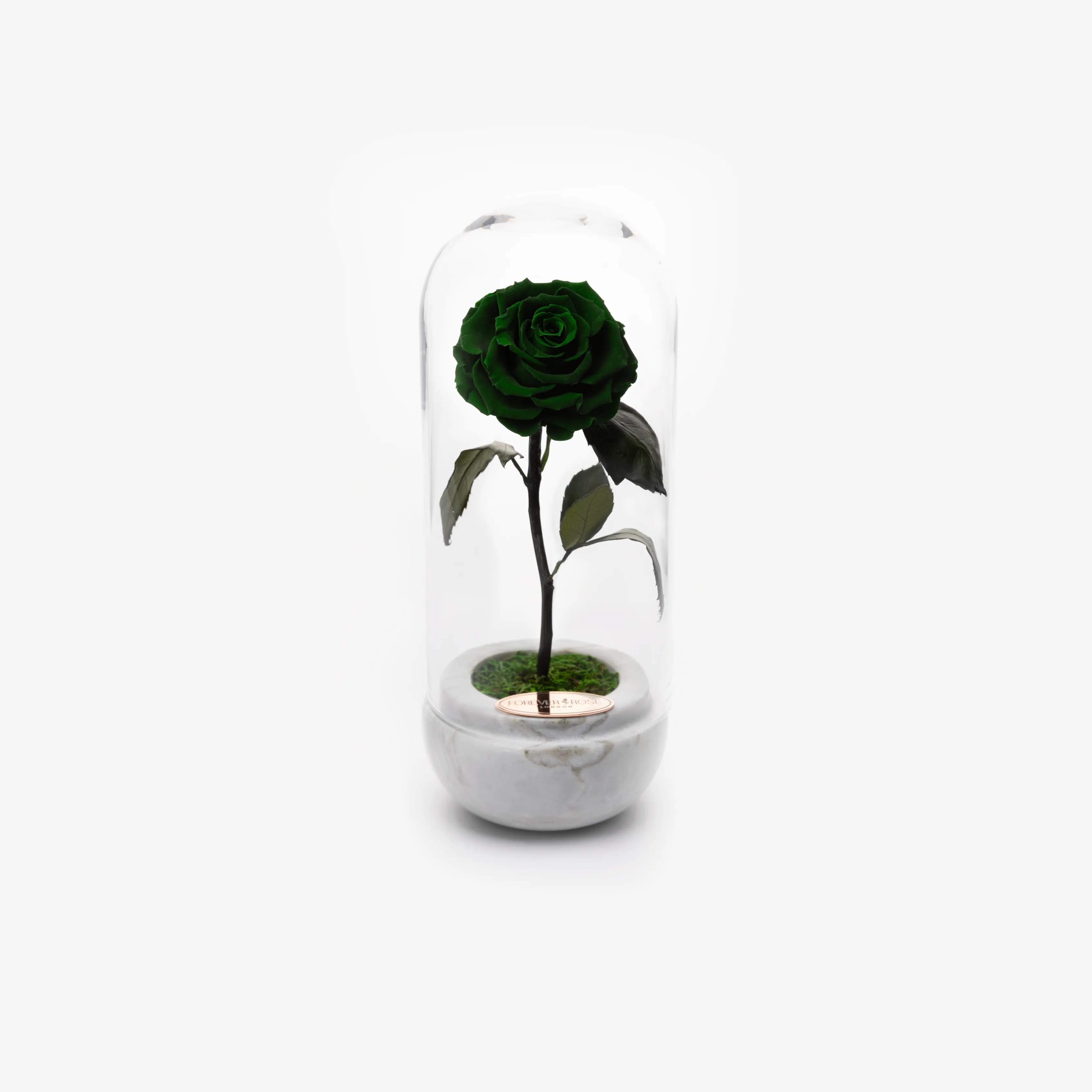 White Capsule - Forest Green