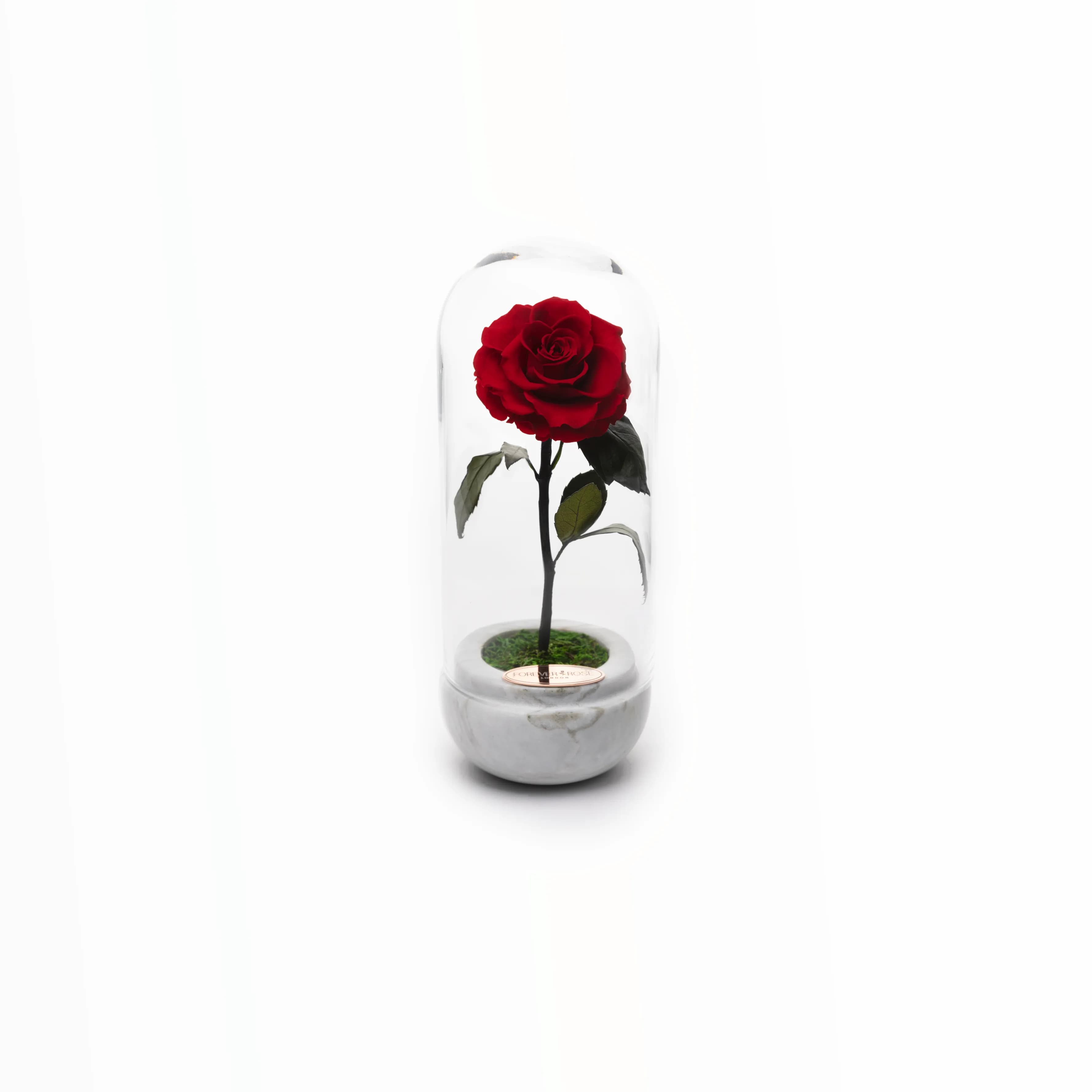 White Capsule - Romantic Red