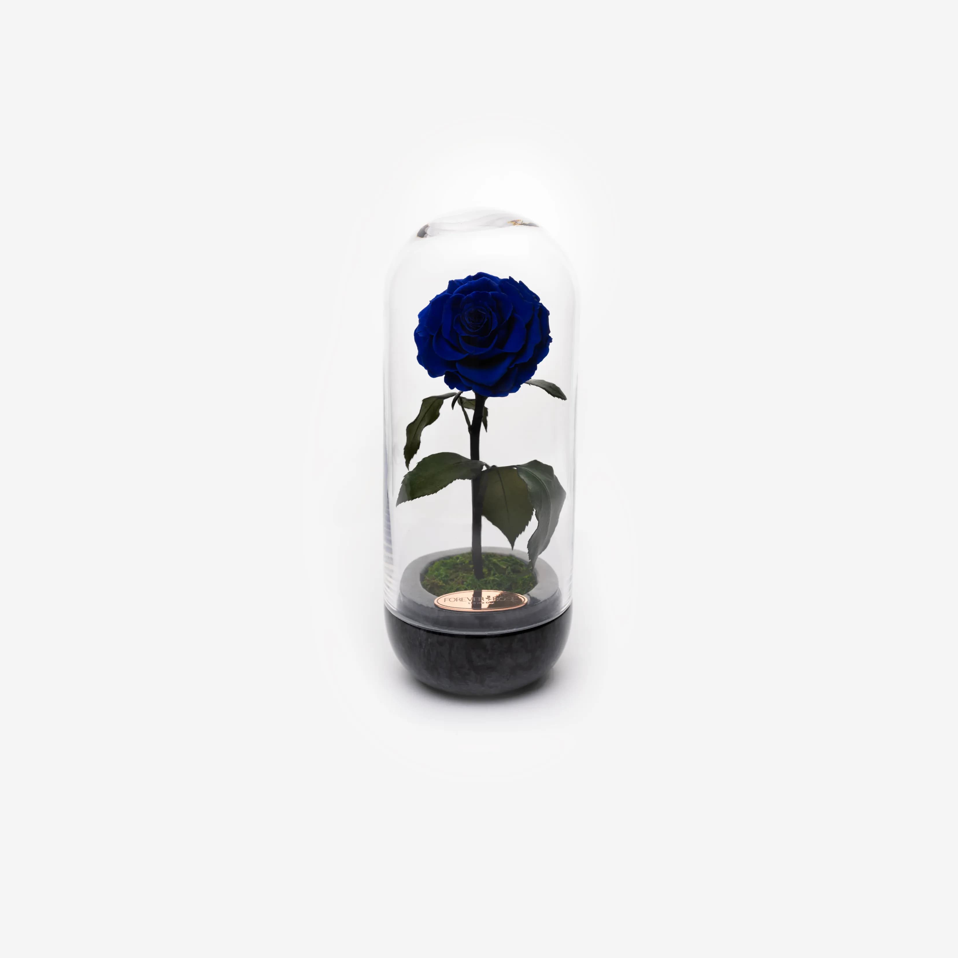 Capsule Black - Royal Blue