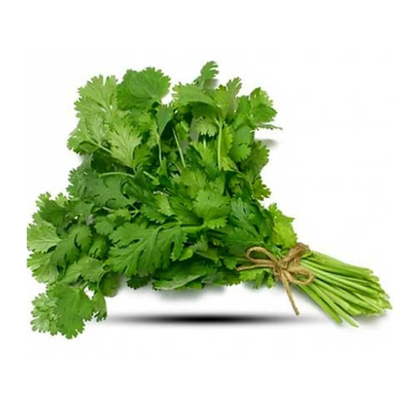 Coriander Bundle 1 Kg