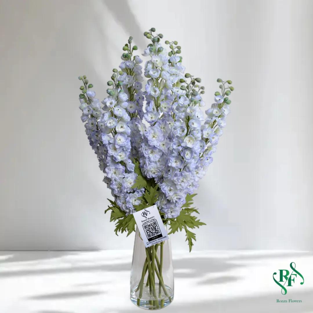 Evelyn Delphinium Mix