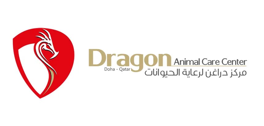 Dragon Animal Care Center